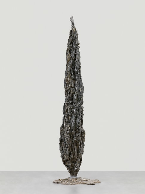 Cypress (Rock)

2018

Cast aluminum

Unique variation 3/5

Approx. 252 x 70 x 50 cm / 99 1/4 x 27 1/2 x 19 5/8 in

&amp;copy; Jean-Marie Appriou