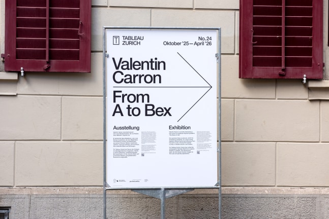 Installation view, Valentin Carron, From A to Bex, TABLEAU, Bahnhof Stadelhofen, Zurich, 2025