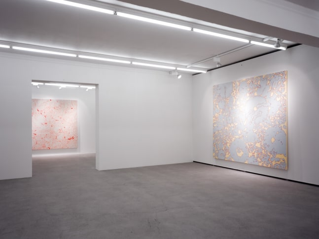 Installation view of Sue Williams painting exhibition
