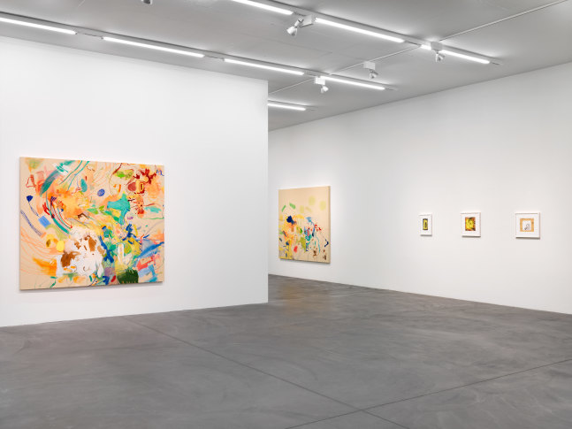 Installation view of Sue Williams painting exhibition