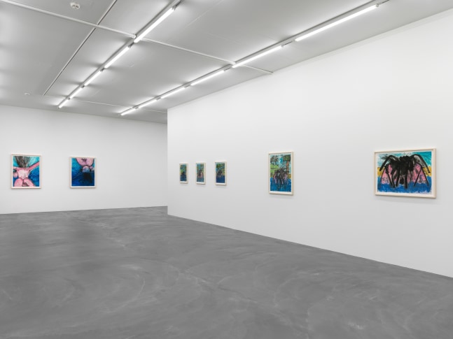 Installation view of Carroll Dunham monotypes exhibition