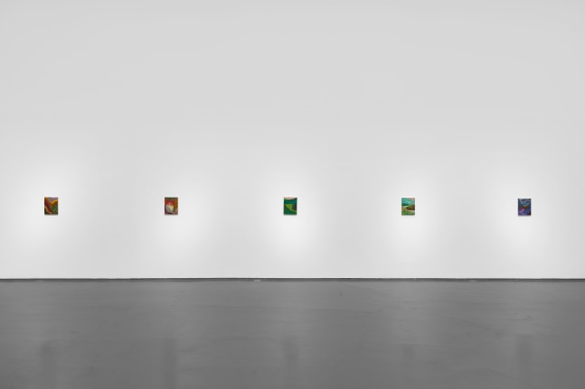 Installation view of paintings by Shara Hughes