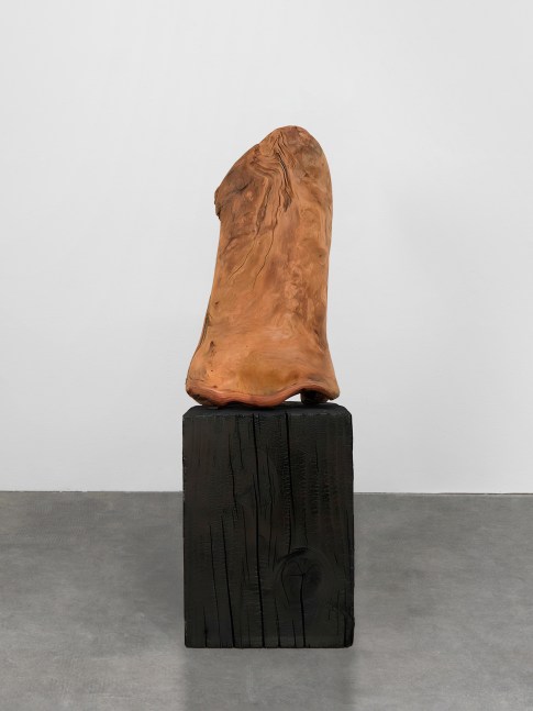 work by oscar tuazon