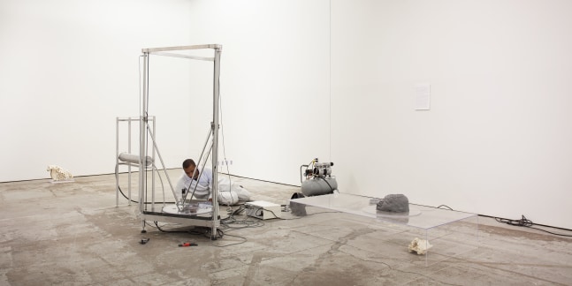 Installation view of sculptures by Matthew Angelo Harrison