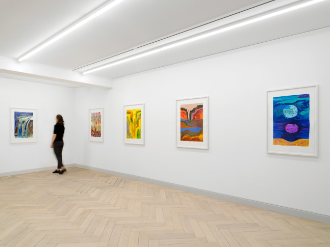 Installation view of Shara Hughes paintings and works on paper exhibition