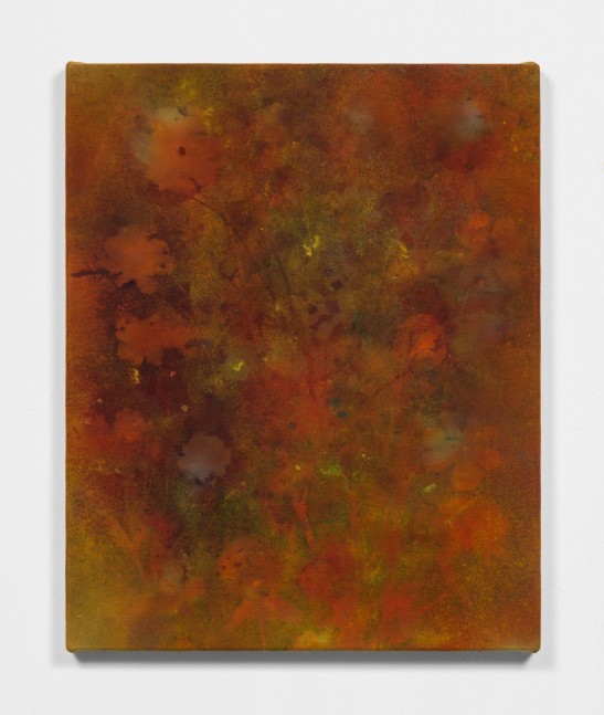 Mesa Dahlias

2020

Pigment on canvas

67 x 54 x 3 cm / 26 3/8 x 21 1/4 x 1 1/8 in

&amp;copy; Sam Falls