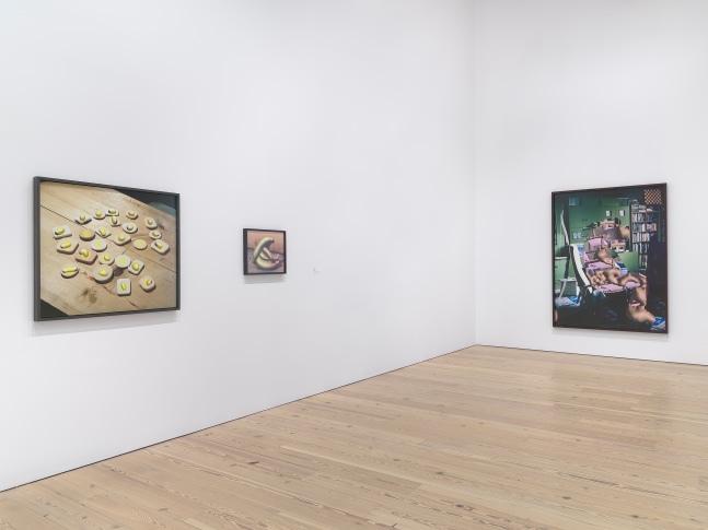 Installation view of Works by Lucas Blalock