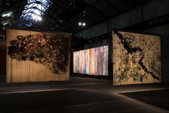 Installation view of paintings by Sam Falls