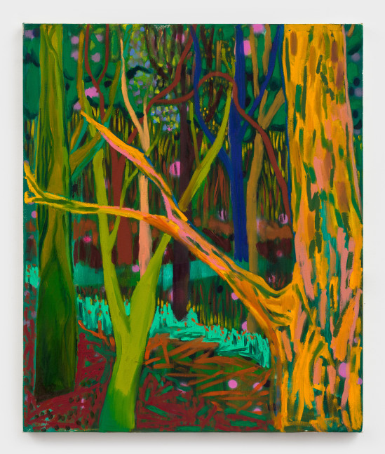 Dense and Lush

2019

Oil and acrylic on canvas 91.5 x 76 cm / 36 x 30 in

&amp;copy; Shara Hughes