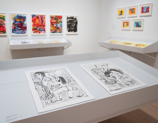 installation view Carroll Dunham Nasjonalmuseet Oslo