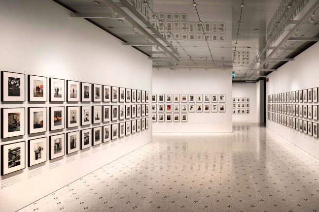 Installation view of works by Walead Beshty