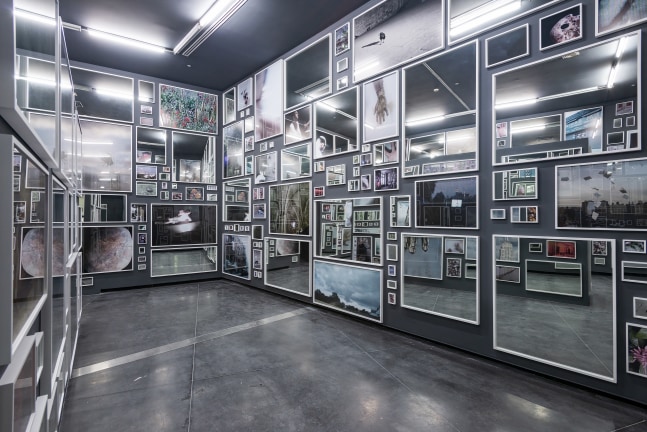 Installation view of photographs by Douglas Gordon