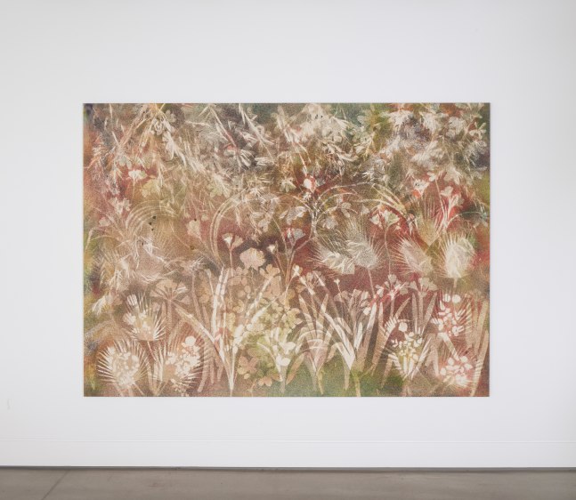 Installation view, Sam Falls, Nothing Without Nature, Cookie Factory, Denver, 2025