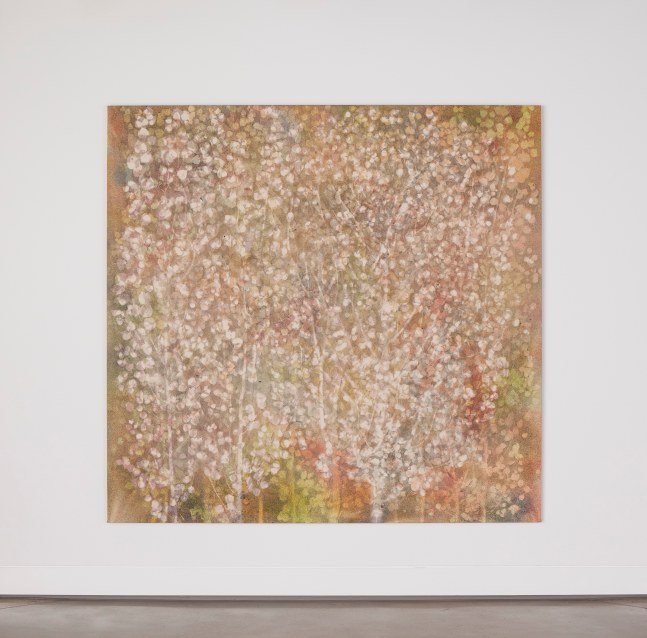 Installation view, Sam Falls, Nothing Without Nature, Cookie Factory, Denver, 2025