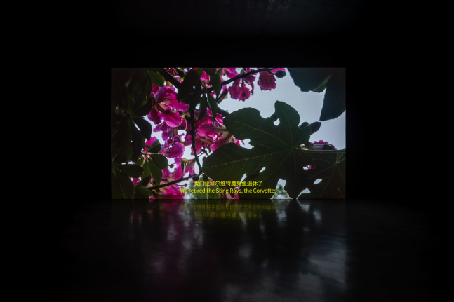 Installation view, Torbj&amp;oslash;rn R&amp;oslash;dland, Songs for the Sun, Yuz Museum, Shanghai, 2025