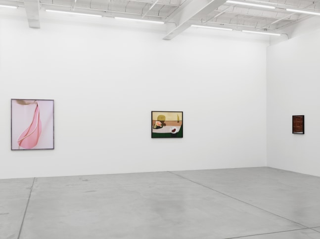 Installation view of Lucas Blalock photography and sculpture exhibition