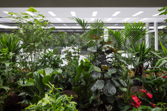 Installation view of living art installation by Doug Aitken