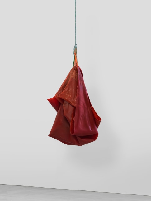 Den 3

2025

Latex, rope, jute, silicone oil

189 x 100 x 91 cm / 74 3/8 x 39 3/8 x 35 7/8 in

&amp;copy; Liesl Raff