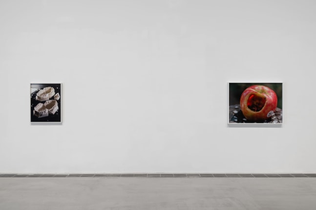 Installation view, Torbj&amp;oslash;rn R&amp;oslash;dland, Songs for the Sun, Yuz Museum, Shanghai, 2025