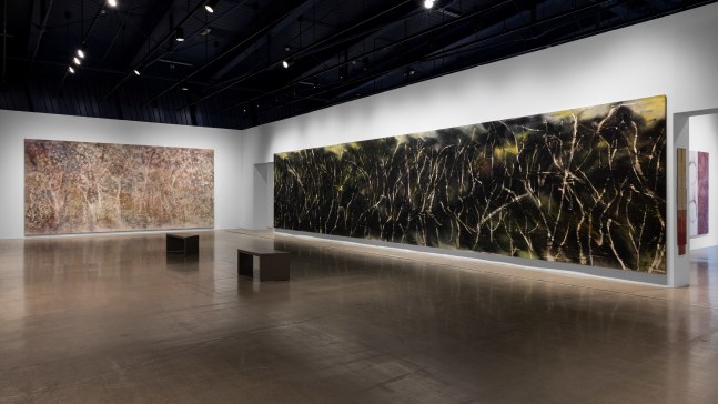 installation view sam falls cleveland