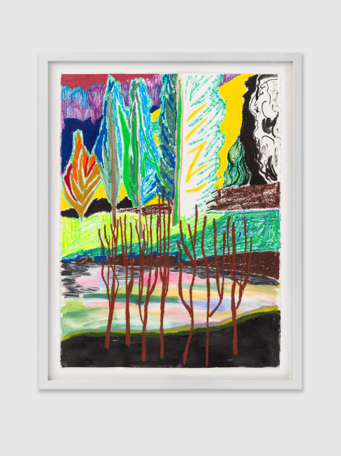 Drawing by Shara Hughes