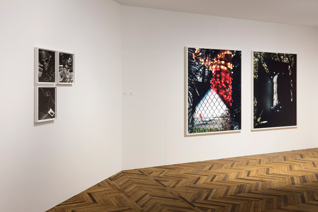 Installation view of photographs by Torbjørn Rødland