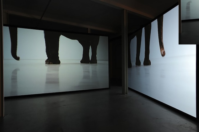 Installation view of video work by Douglas Gordon