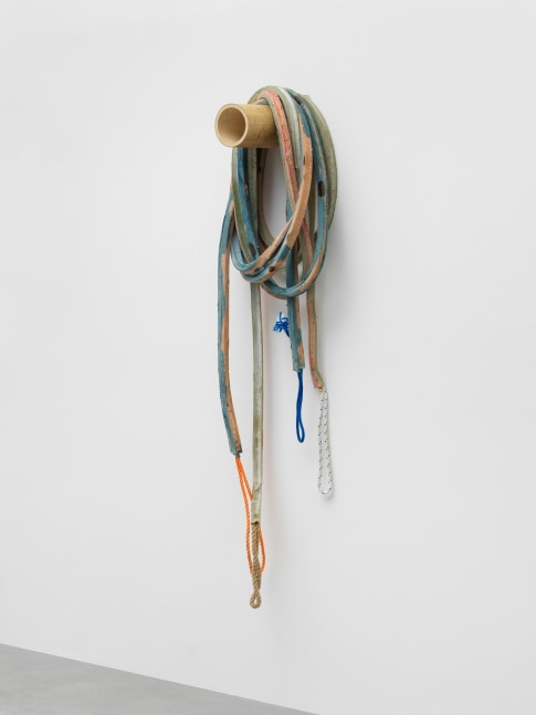 Loop 3

2021

Latex, rope, bamboo, pigment, talcum

Installation dimensions variable

&amp;copy; Liesl Raff