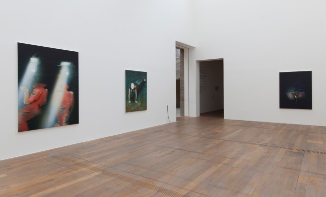 Installation view of paintings by Louisa Gagliardi