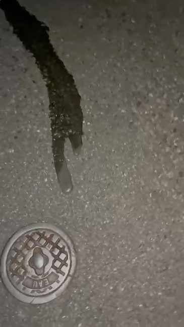 VIDEO BY VALENTIN CARRON