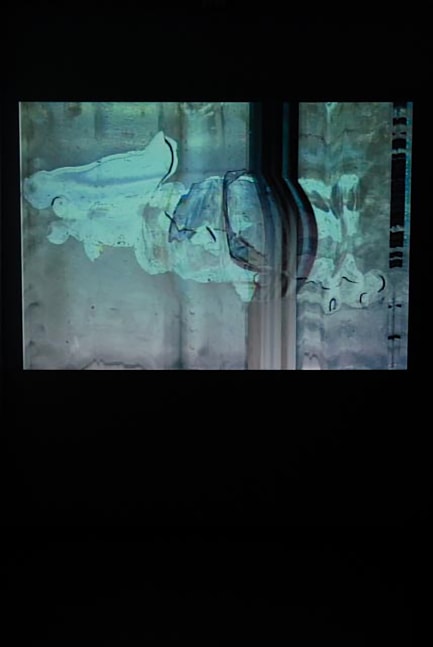 Installation view of video by Trisha Donnelly