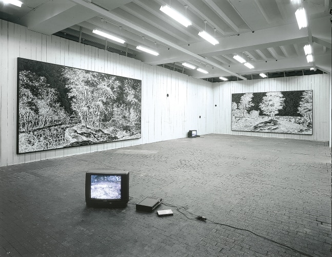 Installation view of paintings and video works by Ugo Rondinone