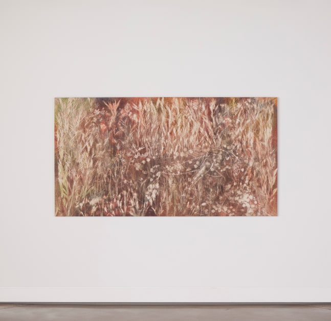 Installation view, Sam Falls, Nothing Without Nature, Cookie Factory, Denver, 2025