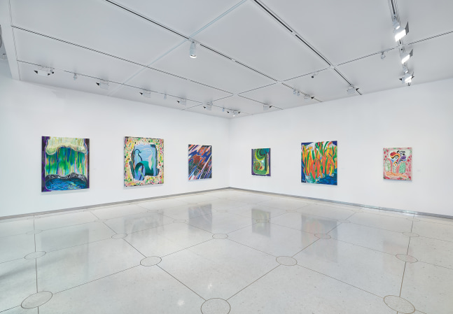 Installation view of Paintings by Shara Hughes