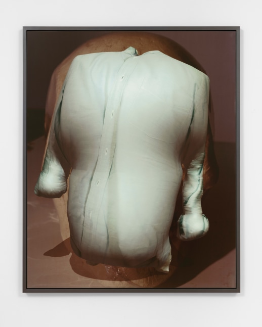 ANIMATED DAD SHIRT
2020
Dye sublimation print on aluminum
Edition of 3 + 2 AP
Image 125.5 x 101.5 cm / 49 3/8 x 40 inches
BLALO47978