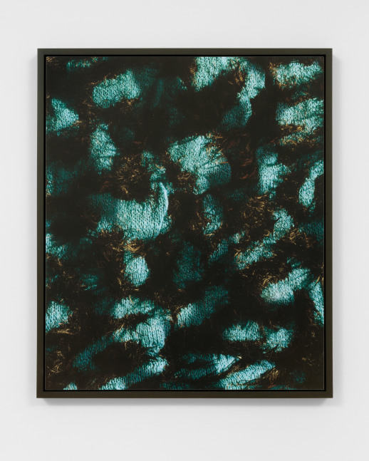 print by Lucas Blalock