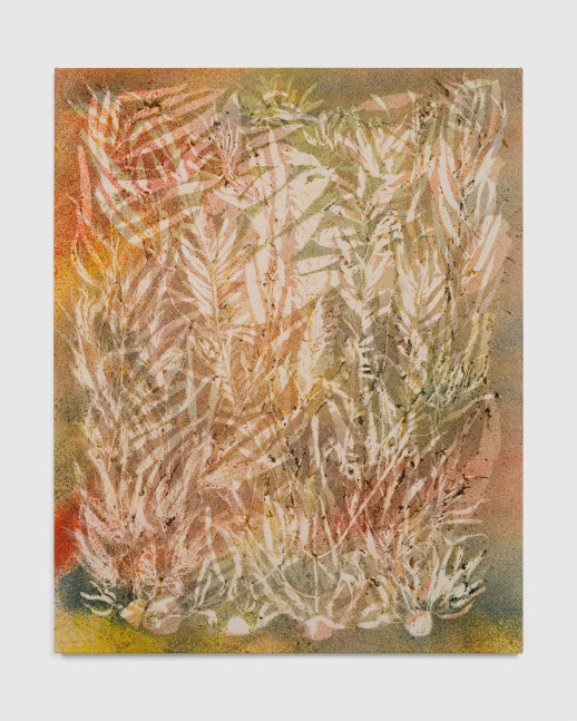 Deep and Wide (Zuma)

2025

Pigment on canvas

152.5 x 122 cm / 60 x 48 in

&amp;copy; Sam Falls