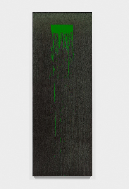 Painting by Pat Steir