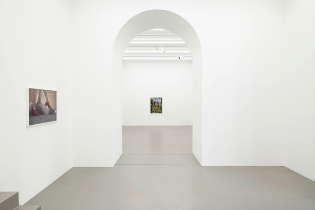 Installation view, Torbj&amp;oslash;rn R&amp;oslash;dland, Slow Life Strategies, Galerie Eva Presenhuber, Vienna, 2025