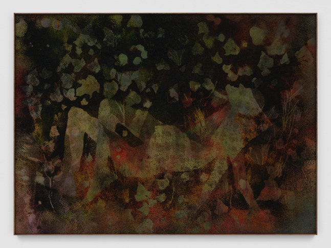 Canvas work by Sam Falls