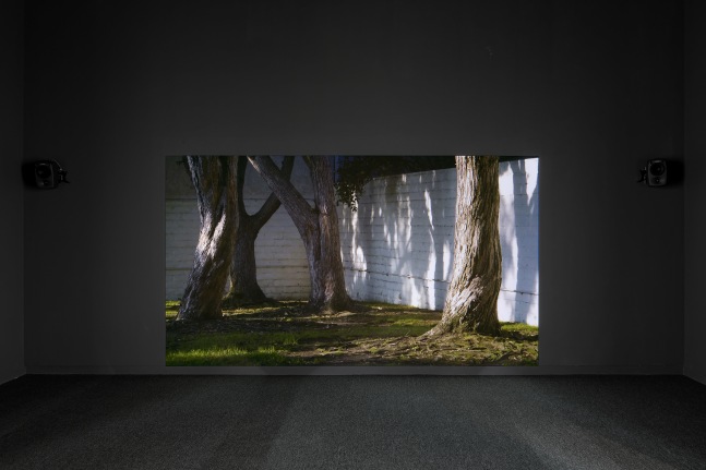 Installation view of photographies by Torbjørn Rødland
