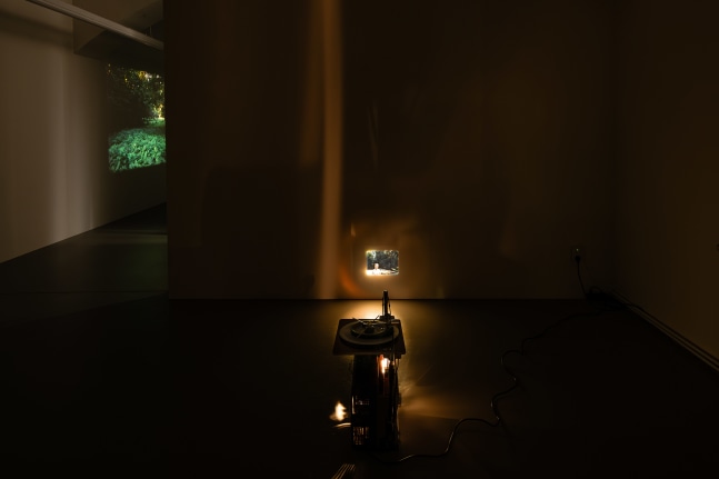 Installation view, Antoinette Zwirchmayr, In the stranglehold of ivy, curated by Tobias Pils, Galerie Eva Presenhuber, Vienna, 2023