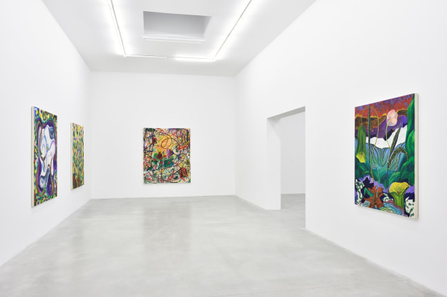 Installation view of Paintings by Shara Hughes