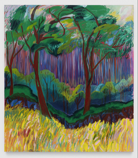 SHARA HUGHES
All Shook Up
2021
Oil, acrylic, dye on canvas
172.5 x 152.5 cm / 68 x 60 in
HUGHE49339