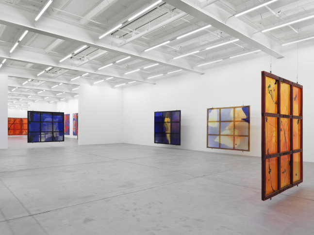 Installation view of works by Alex Hubbard