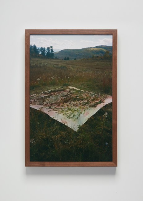 Installation view, Sam Falls, Nothing Without Nature, Cookie Factory, Denver, 2025