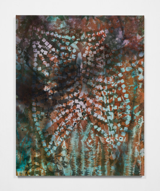Sam Falls  Hydrangea Cage 2020  Pigment on linen