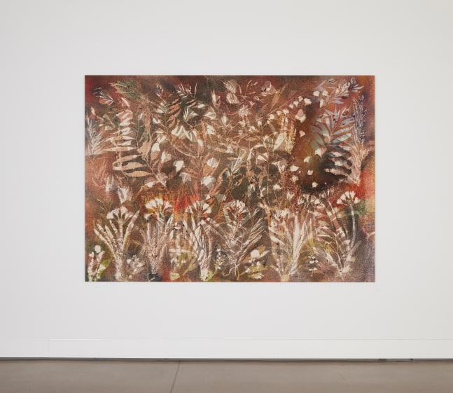 Installation view, Sam Falls, Nothing Without Nature, Cookie Factory, Denver, 2025