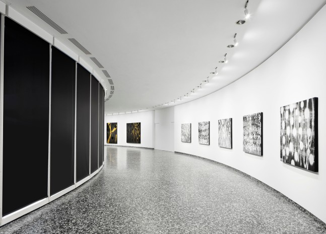 Installation view, Adam Pendleton, Love, Queen, Hirshhorn Museum, Washington D.C, 2025-27