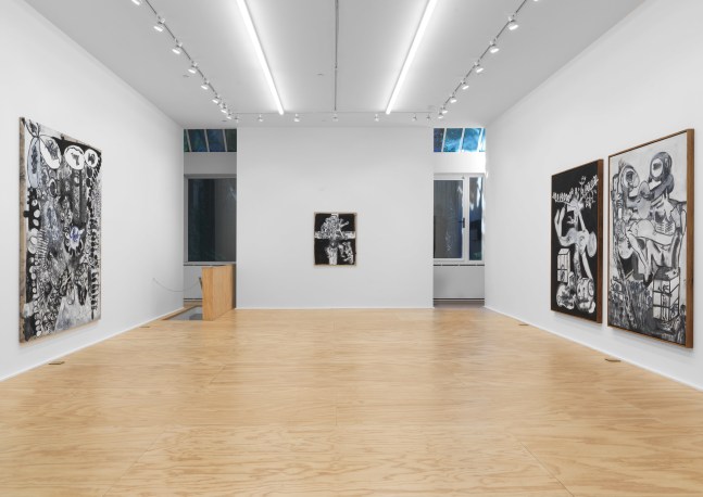 Installation view of Tobias Pils paintings and ink works on paper exhibition